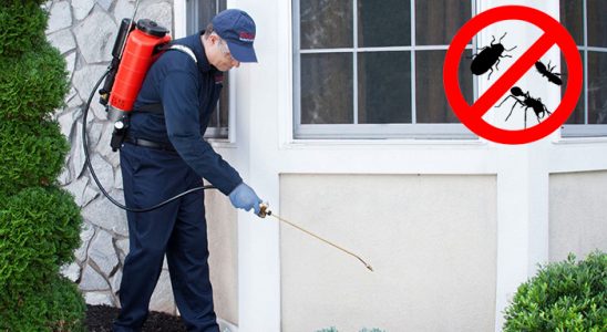 Beypazarı Böcek İlaçlama böcek ilaçlama ve haşere kontrolü — ilaclama-tr.com